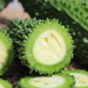 Bittermelone Futo (Samen)