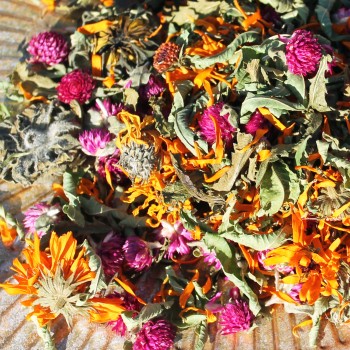 Ringelblume orange gefüllt (Samen)