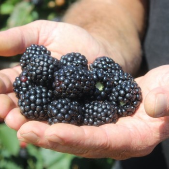 - Kopie - Kopie - Kopie