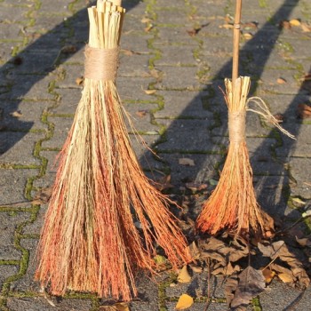 Broom Corn Mixed Colours - Bunte Besenhirse (Samen)