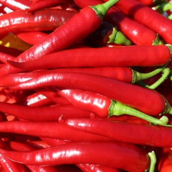 Chili Aci Sivri Biber (Schärfe 4) (Samen)