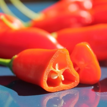 Chili Aji Penec (Schärfe 4) (Samen)