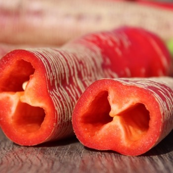 Chili Albanian Red Hot (Schärfe 2) (Samen)