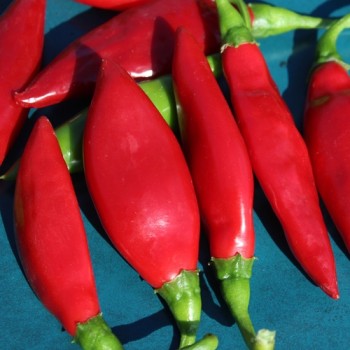 Chili Balik (Erdinc Strain) (Schärfe 3) (Samen)