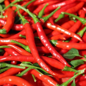 Chili Bird's Eye (Schärfe 9) (Samen)
