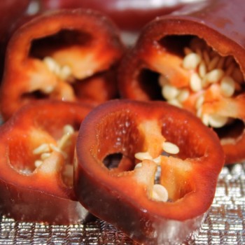 Chili Brown Jalapeno (Schärfe 3) (Samen)