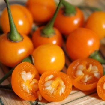 Chili Charapita (Schärfe 9) (Samen)