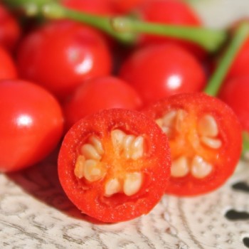 Chili Charapita rot (Schärfe 9) (Samen)