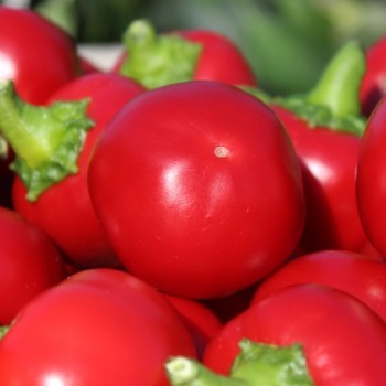 Chili Cherry Bomb (Schärfe 1) (Samen)