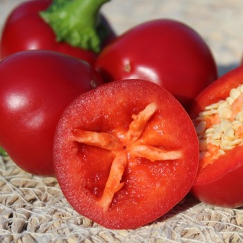 Chili Cherry Bomb (Schärfe 1) (Samen)
