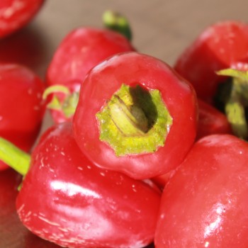 Chili Dieghito Jalapeno (Schärfe 4) (Samen)