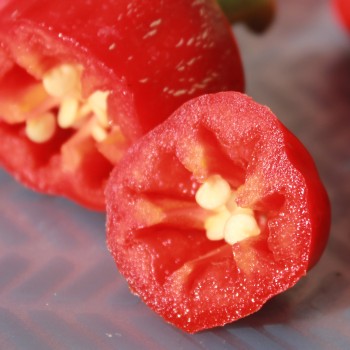 Chili Dieghito Jalapeno (Schärfe 4) (Samen)