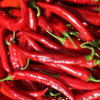 Neu! Chili Gochugaru (Korean Giant Kimchi) (Schärfe 2) (Samen)
