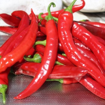 Neu! Chili Gochugaru (Korean Giant Kimchi) (Schärfe 2) (Samen)
