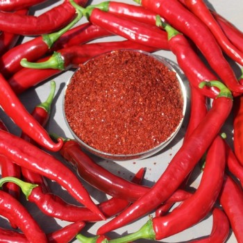 Neu! Chili Gochugaru (Korean Giant Kimchi) (Schärfe 2) (Samen)