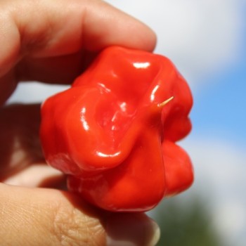 - Kopie - Kopie - Kopie - Kopie - Kopie