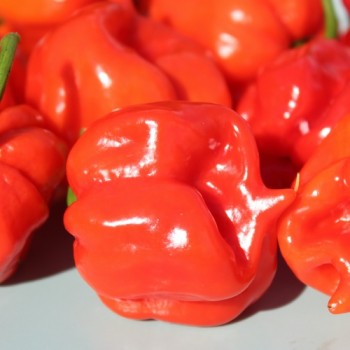 - Kopie - Kopie - Kopie - Kopie - Kopie