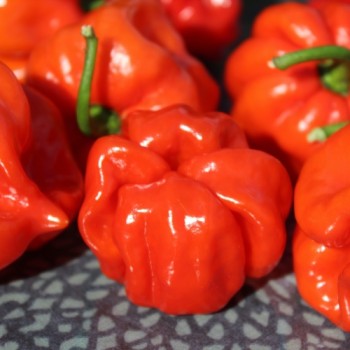 - Kopie - Kopie - Kopie - Kopie - Kopie