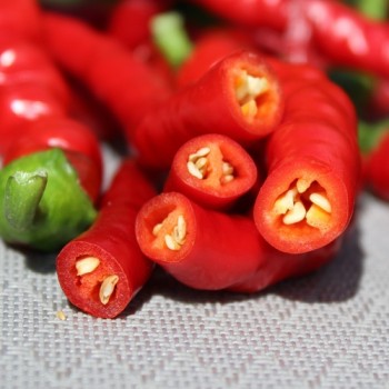 Chili Hair (Kil Biber) (Schärfe 5) (Samen)