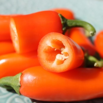 Chili Jalapeno NuMex Orange Spice (Schärfe 2) (Samen)