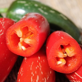 Chili Nadapeno (Schärfe 0) (Samen)