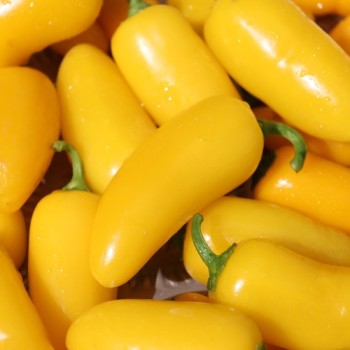 Chili Jalapeno NuMex Lemon Spice (Schärfe 2) (Samen)