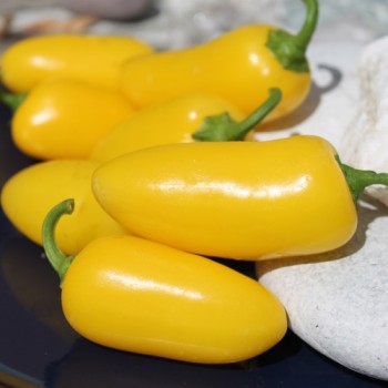 Chili Jalapeno NuMex Lemon Spice (Schärfe 2) (Samen)