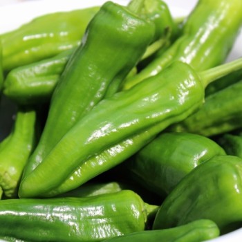 Gemüsechili Pimiento de Padron (Schärfe 1) (Samen)