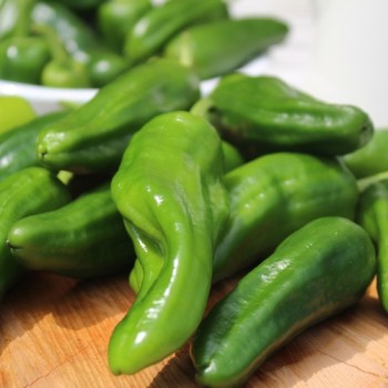 Gemüsechili Pimiento de Padron (Schärfe 1) (Samen)