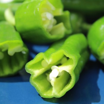 Gemüsechili Pimiento de Padron (Schärfe 1) (Samen)
