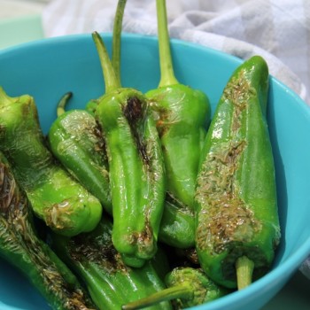 Gemüsechili Pimiento de Padron (Schärfe 1) (Samen)