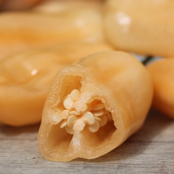 Chili Sugar Rush (Schärfe 5) (Samen)