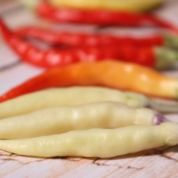Chili Uchu Cream (Schärfe 6) (Samen)