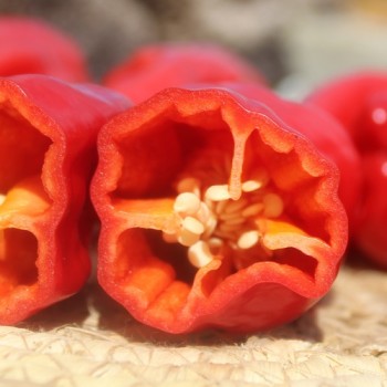Chili Üc Burun (Schärfe 5) (Samen)