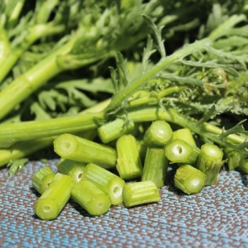 Chop Suey Long Stem (Samen)