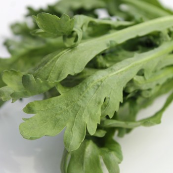 Chop Suey Round Leaf (Samen)