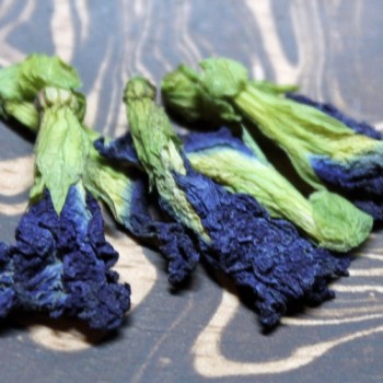 Neu! Clitoria (Samen)
