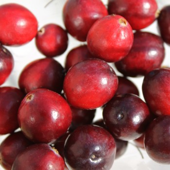 Cranberry Punainen Tähti (Pflanze)