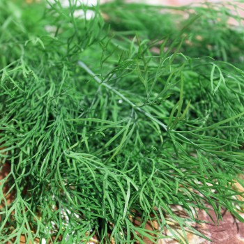 Dill Vierling (Samen)