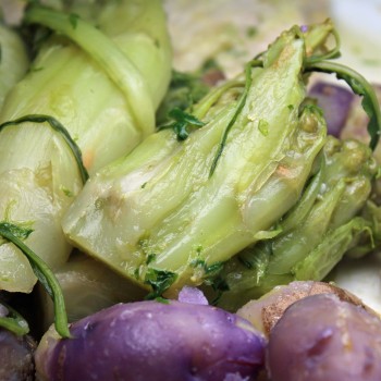 Endivie Puntarelle Brindisina (Samen)