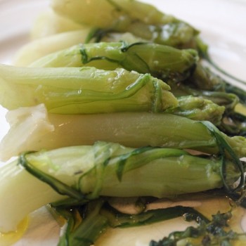 Endivie Puntarelle Molfettese (Samen)