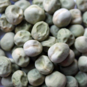 Markerbse Petit Provencal (Samen)