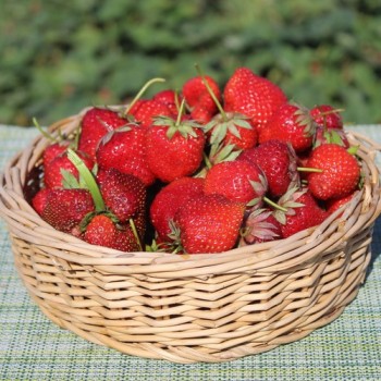 - Kopie - Kopie - Kopie