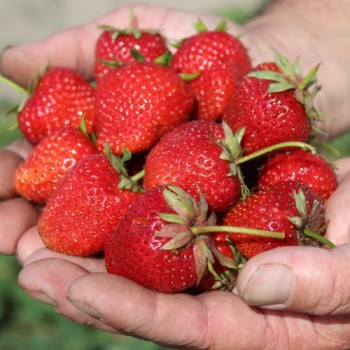 - Kopie - Kopie - Kopie