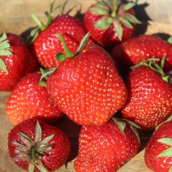 - Kopie - Kopie - Kopie