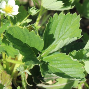 - Kopie - Kopie - Kopie