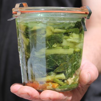 Mini Pak Choi Hong Tae (Samen)