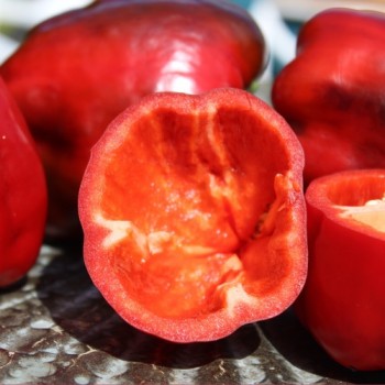 Neu! Gemüsechili Mulato Notturno Grande (Schärfe 1) (Samen)