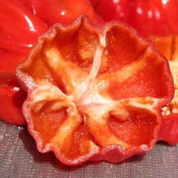 Gemüsechili Pul Biberlik Antep (Schärfe 2) (Samen)