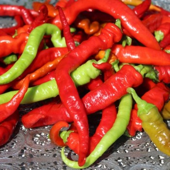 Gemüsechili Romanian Sweet (Samen)